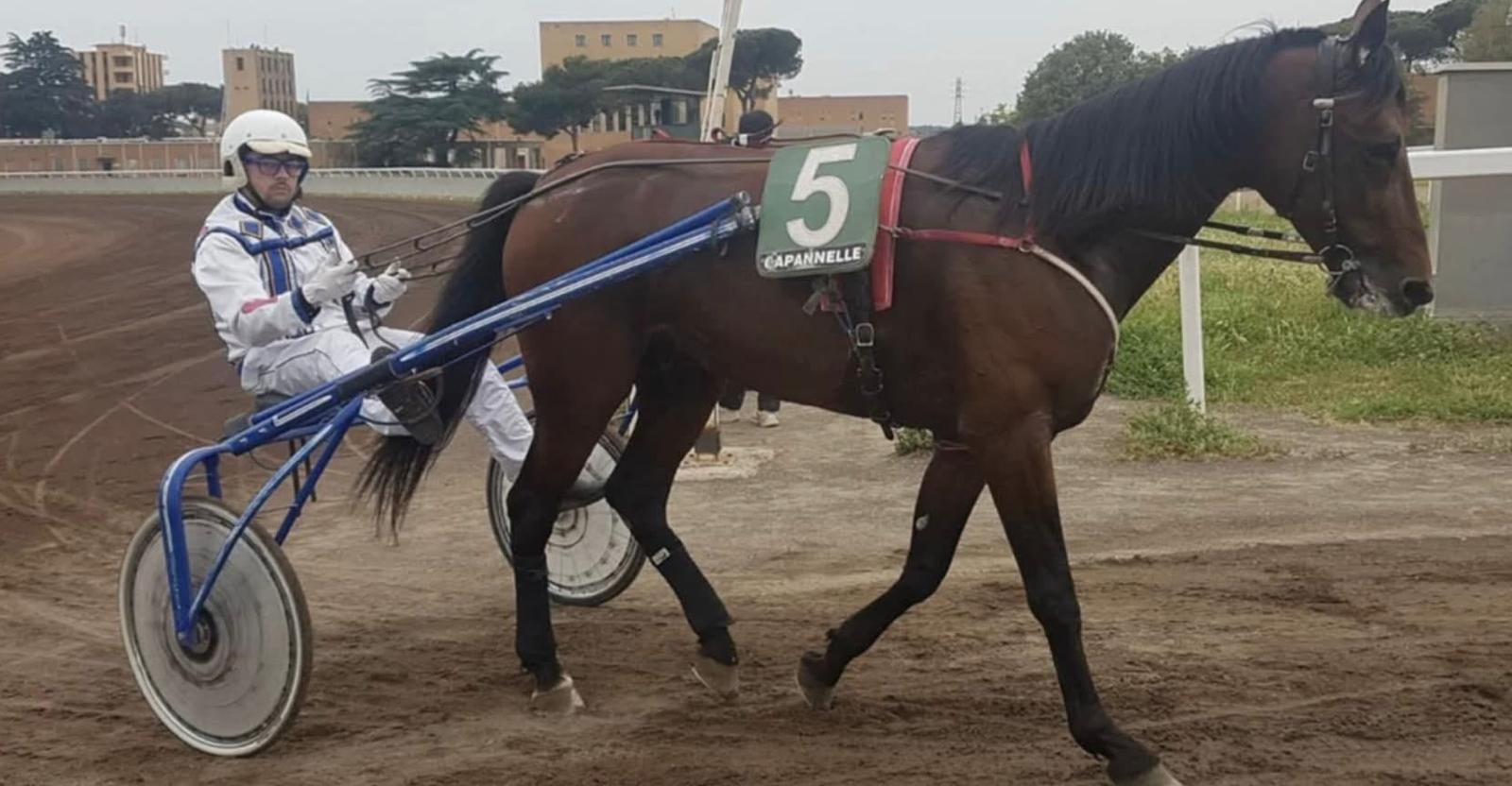 Il trotto in lutto: l’addio al Gentleman Emanuele Satta