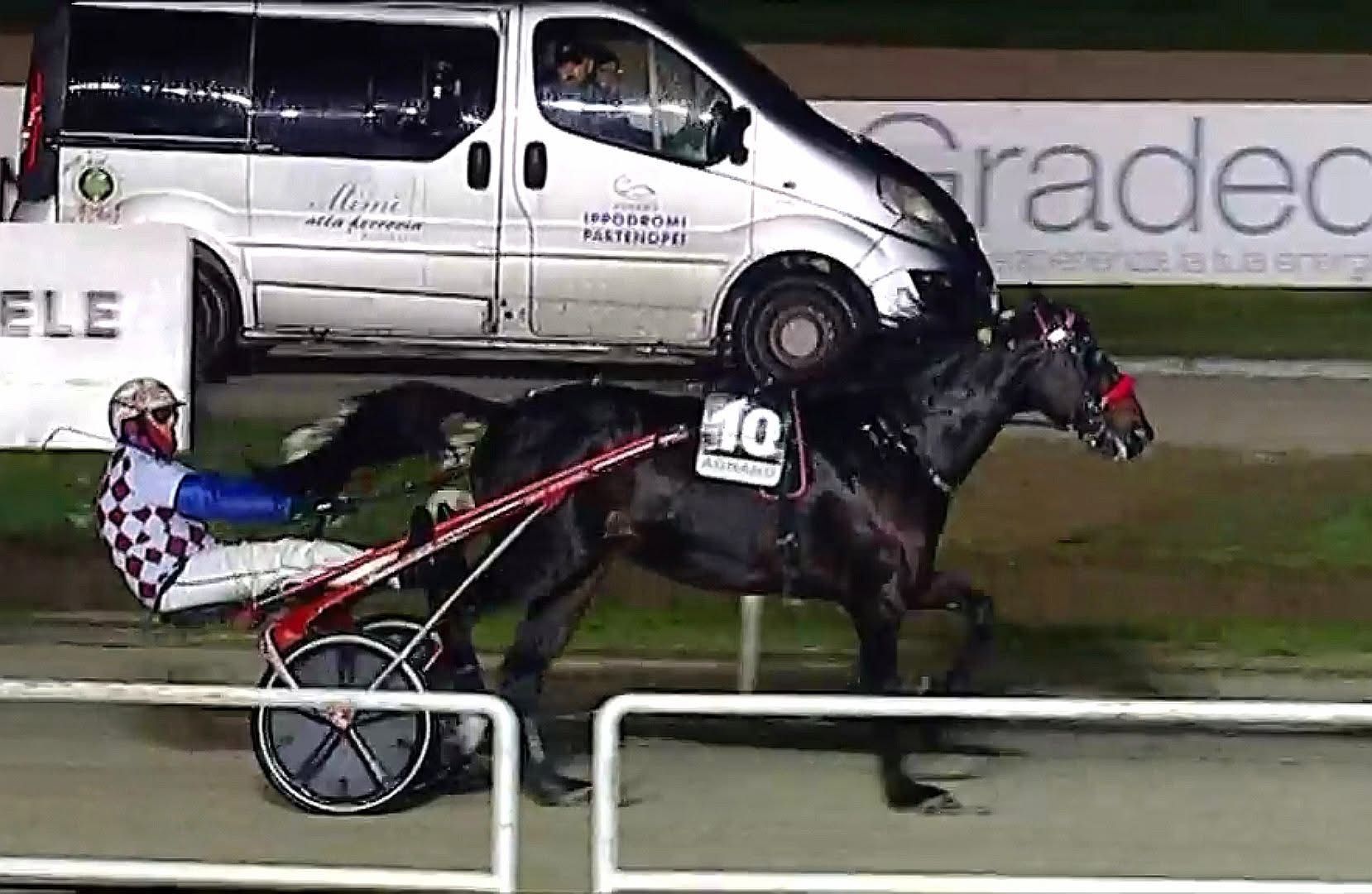 Un giorno da ricordare: Filippo Esposito e Boston Luis vincono il loro primo Santobono Pausilipon